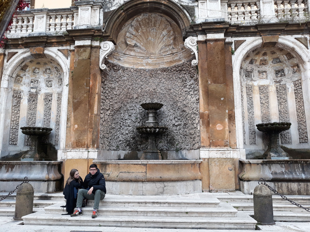 Fontana di Piazza San Pietro景点图片