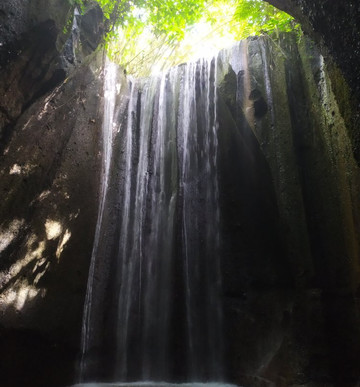 Mr. Bedu's Tours-乌布必去景点