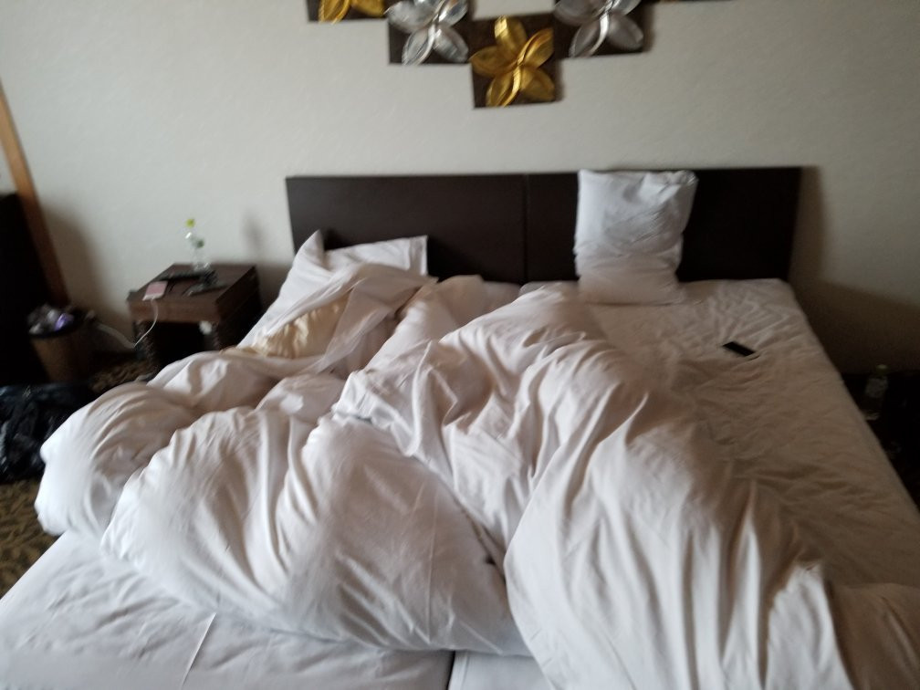 Hana Irodori No Yado Kayuu主图