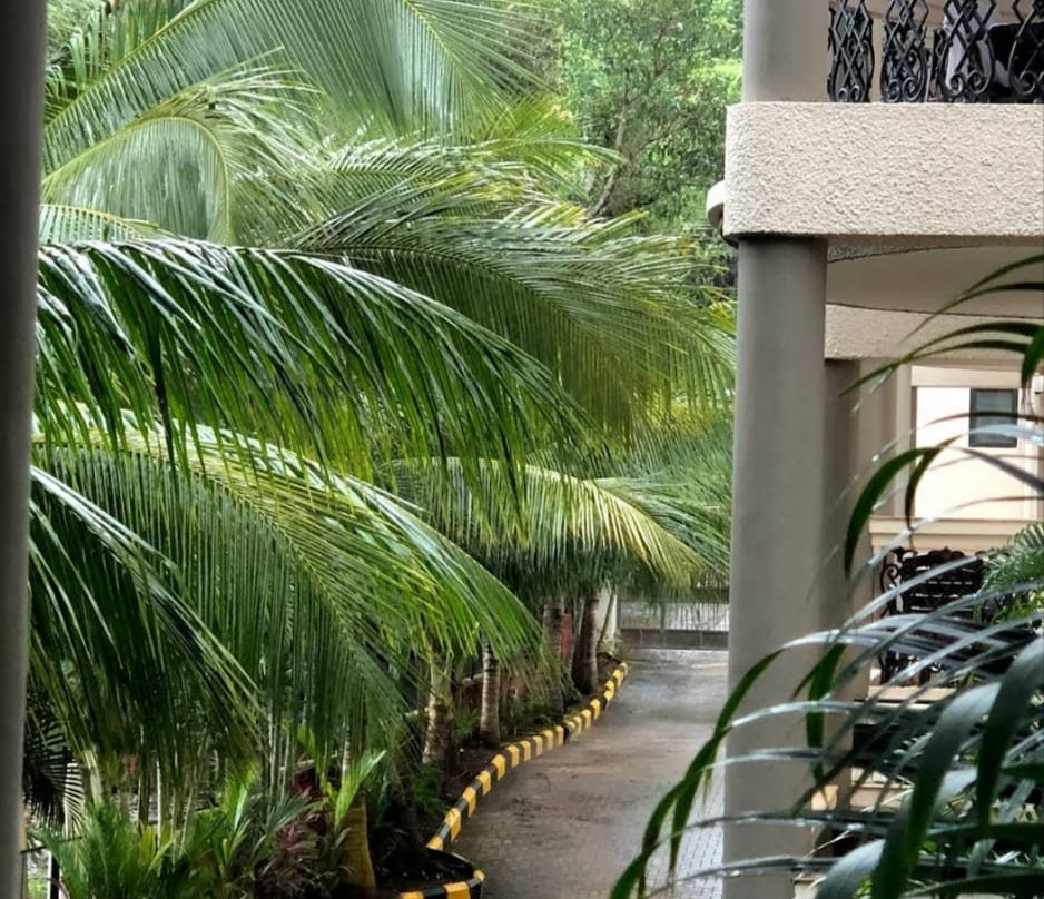 Ocean Wellness Resort主图