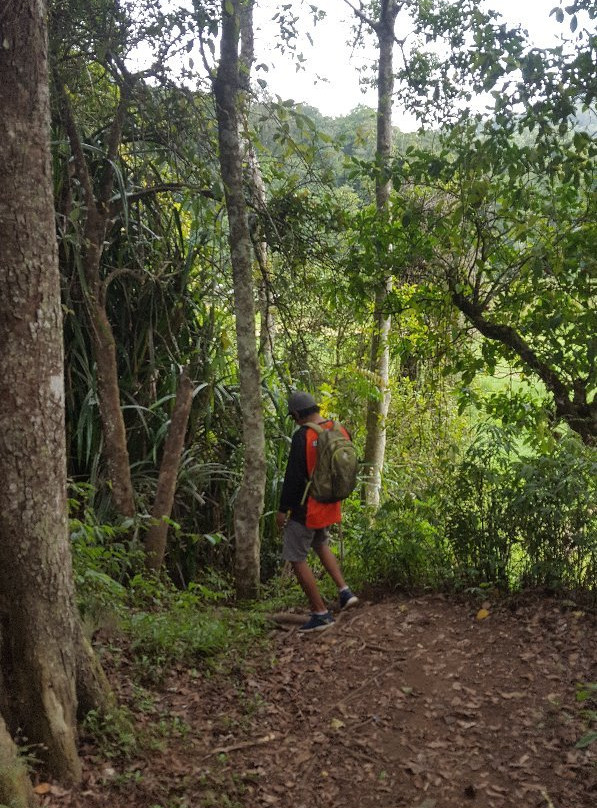 Wanagiri Bali Adventure景点图片