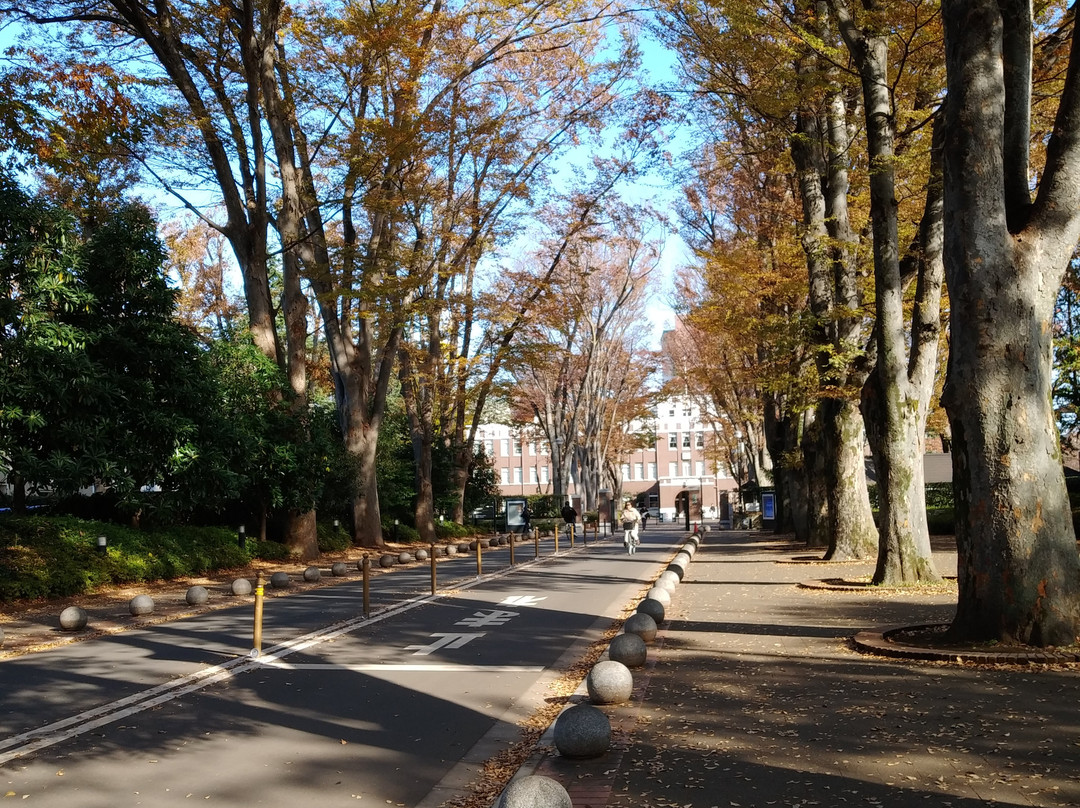 Seikei University景点图片