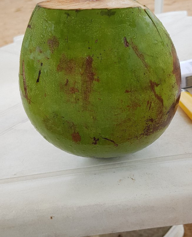 Hotel Marina do Lago主图