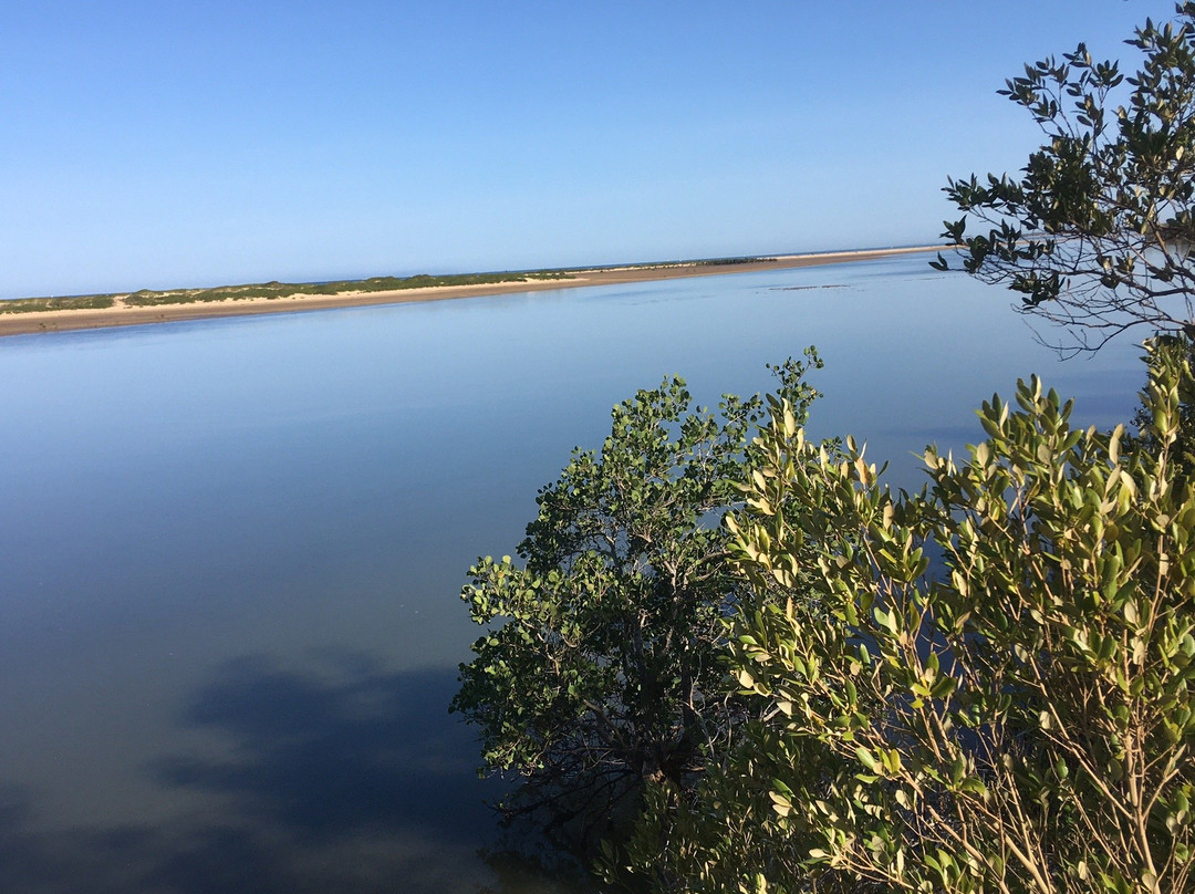 Honko Community-Based Mangrove Reserve景点图片