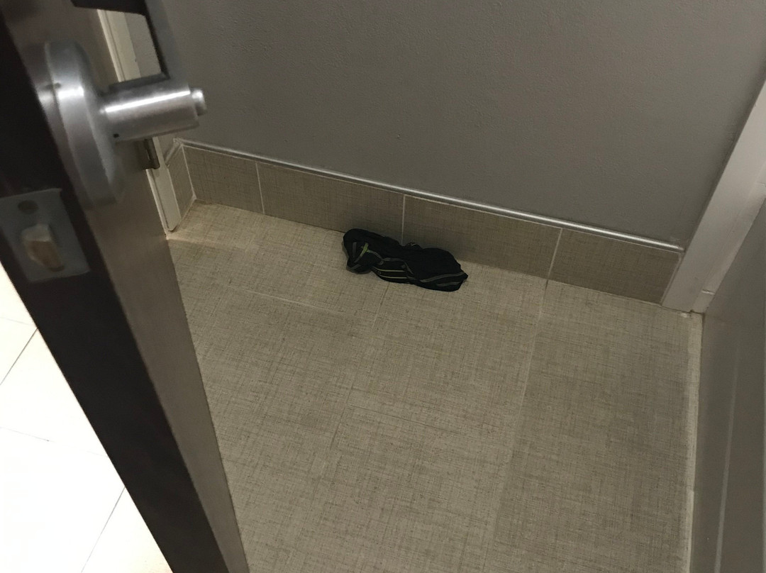 Best Western Limestone Inn & Suites主图