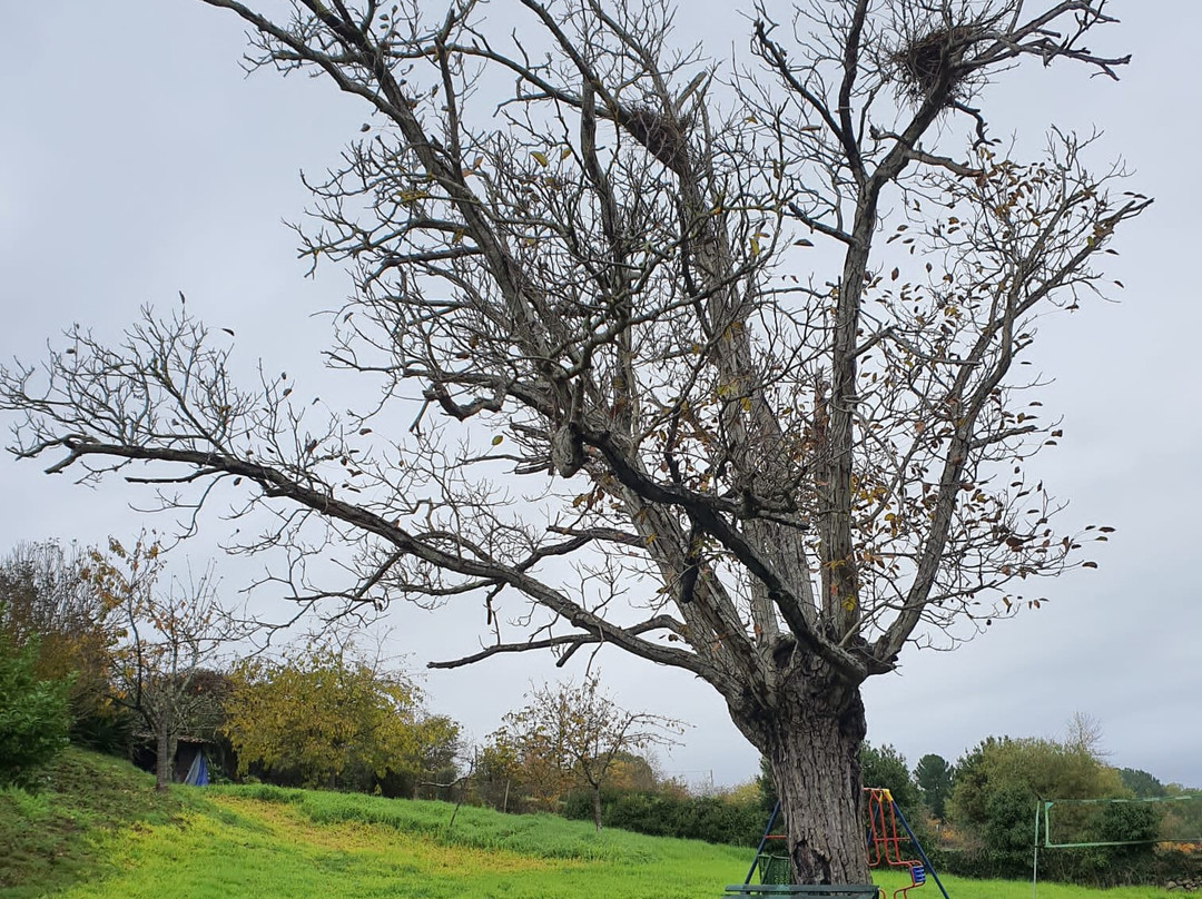 Casa Dos Muros主图