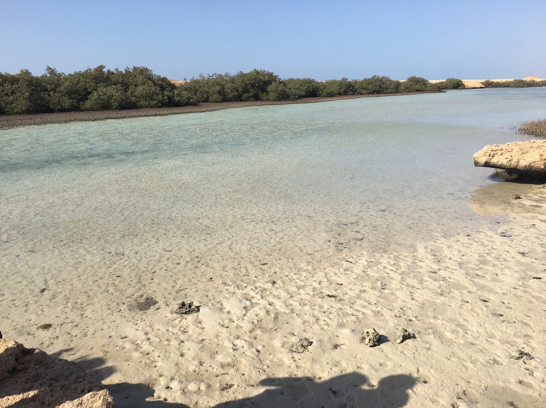 Mangrove Beach-Ras Mohammed必去景点