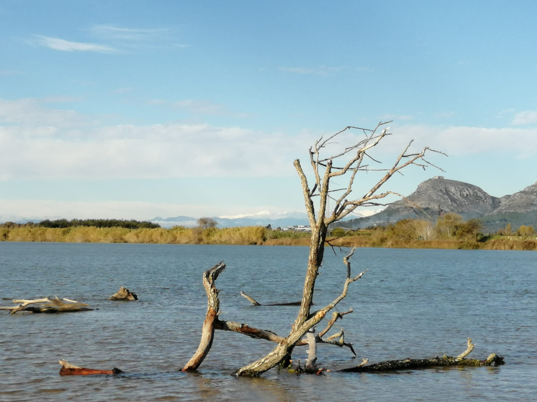 Hostal La Gola主图