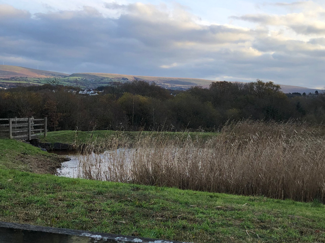 Llyn Llech Owain Country Park-Gorslas必去景点