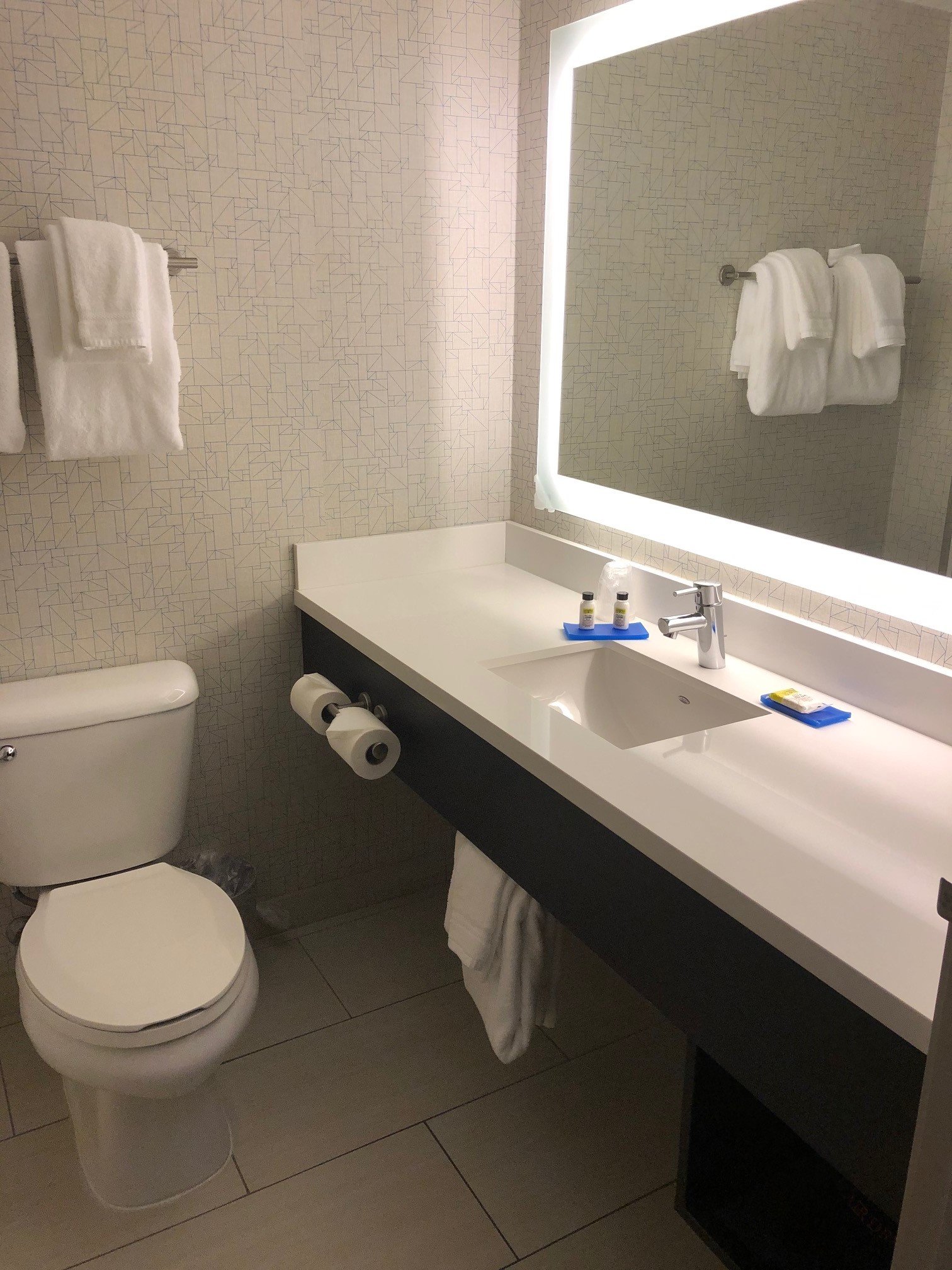Holiday Inn Express & Suites Everett By IHG-浴室