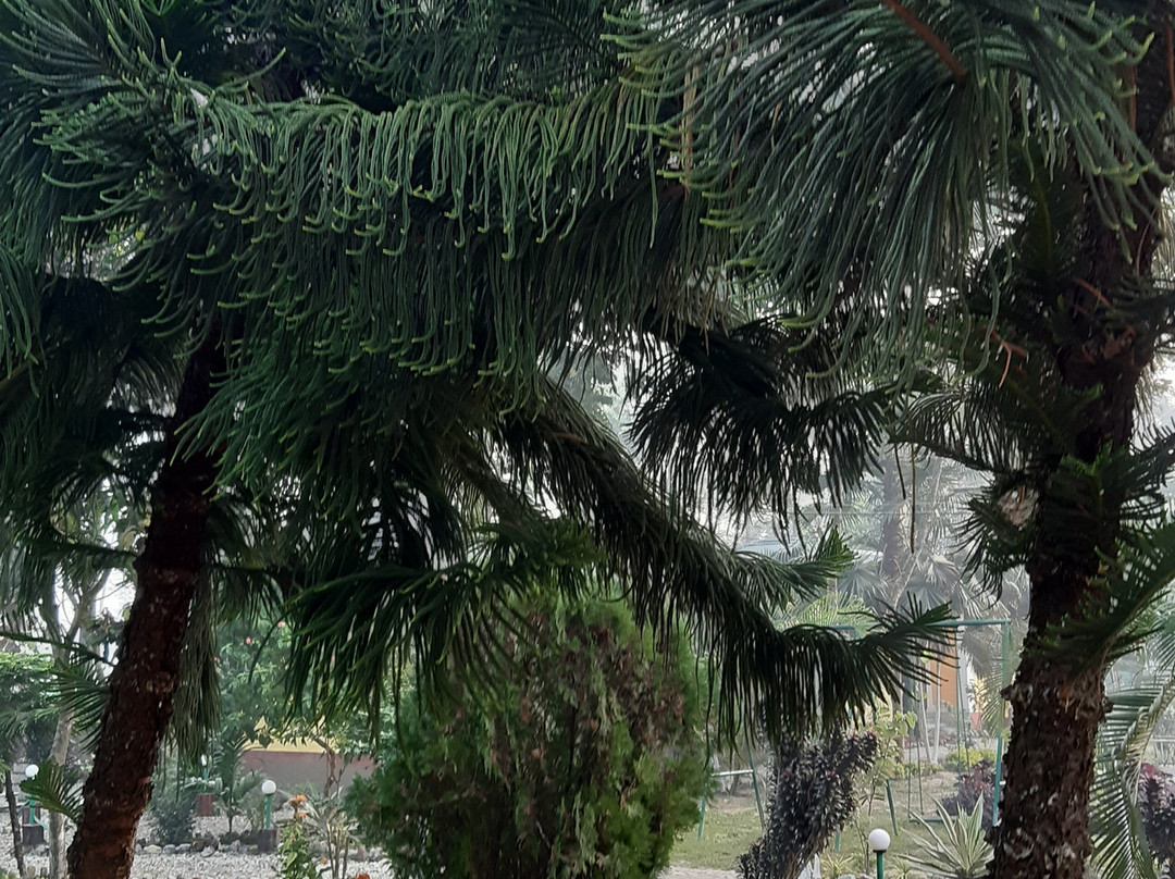 Jaldapara Inn Resort