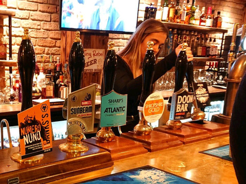 The Dog and Doublet Inn-沃尔夫汉普顿必去景点