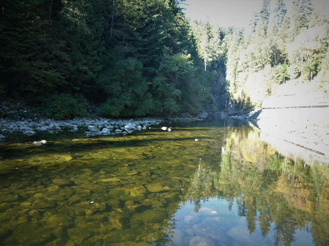 Capilano Salmon Hatchery景点图片