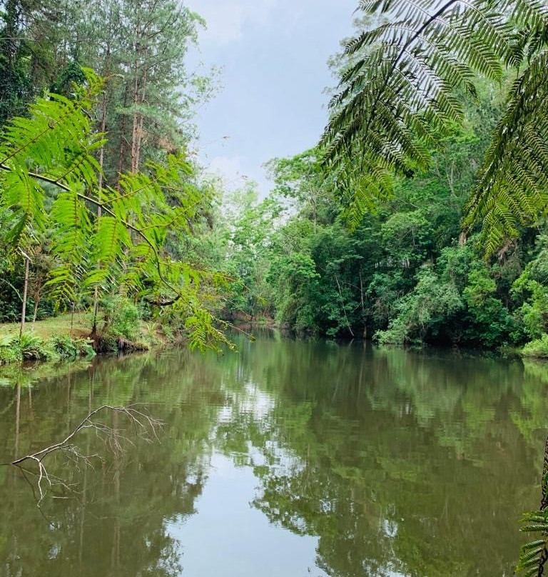 Pousada 4 Luas主图