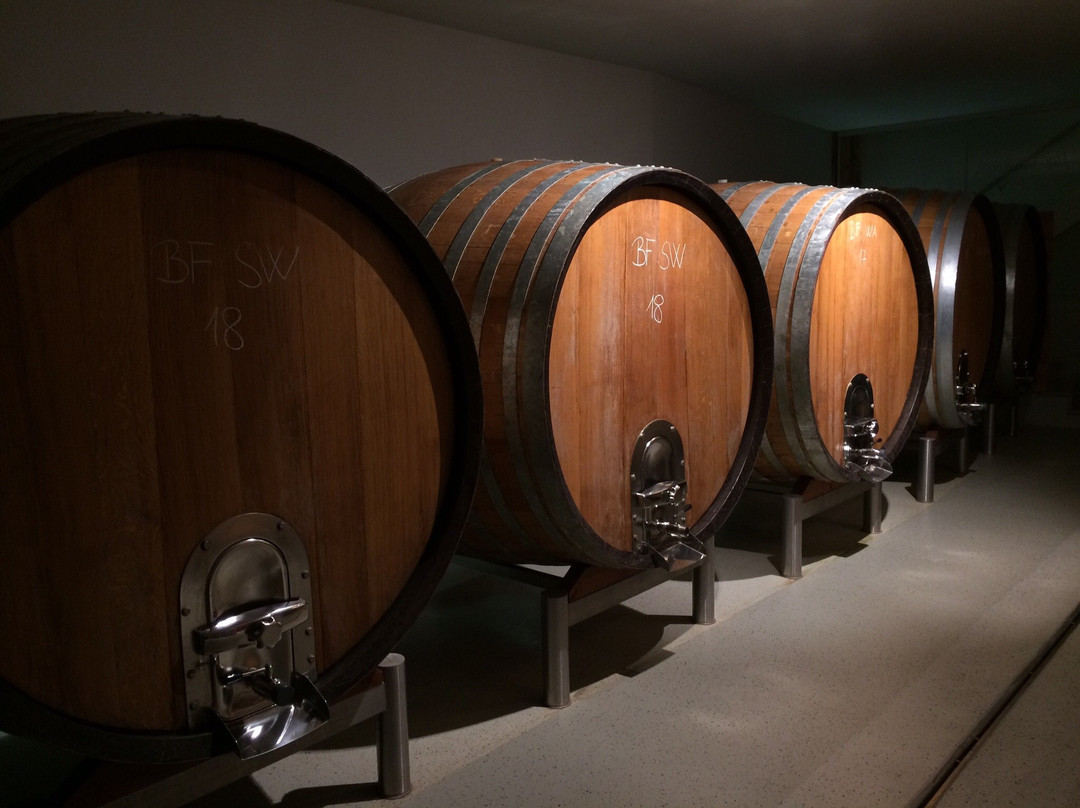 IBY-Lehrner Wein-Gut und Wein-Traumerei主图