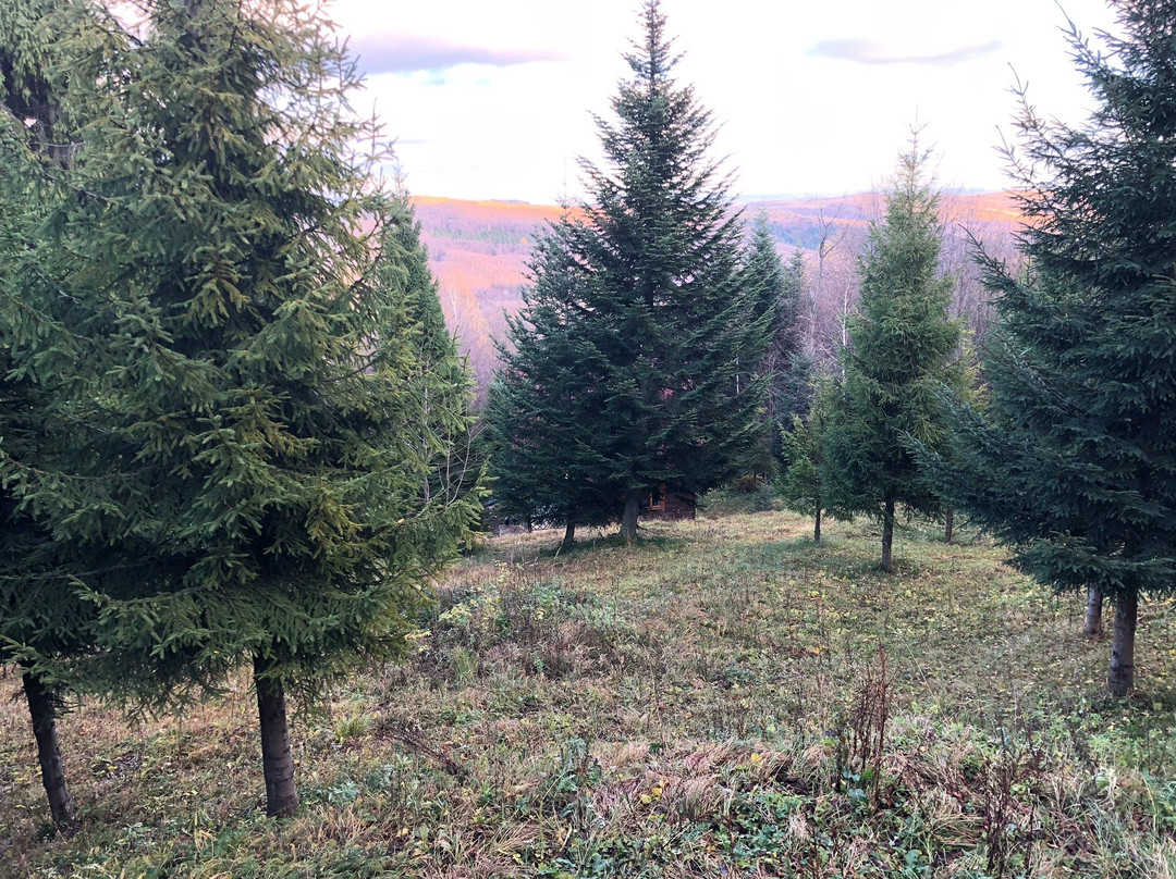 Carpathian Meadows (Karpats'ki Polonyny) Hotel主图