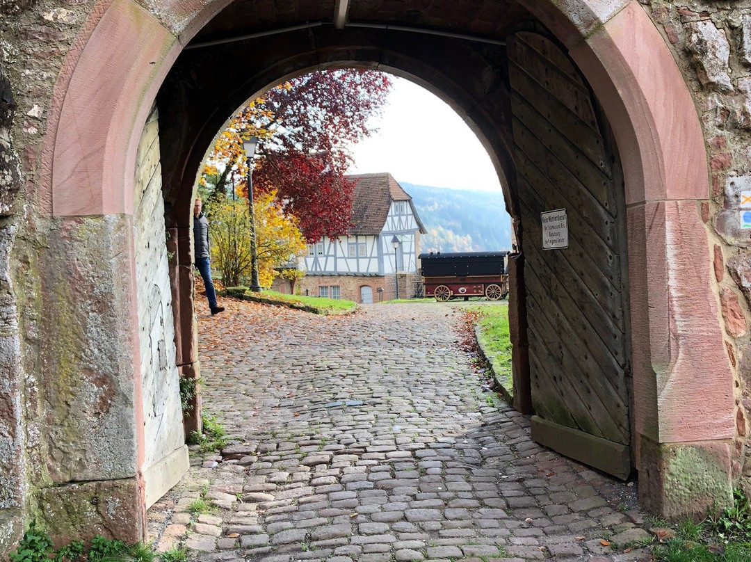 Schloss Hirschhorn景点图片