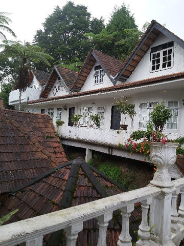 种植园乡村酒店主图