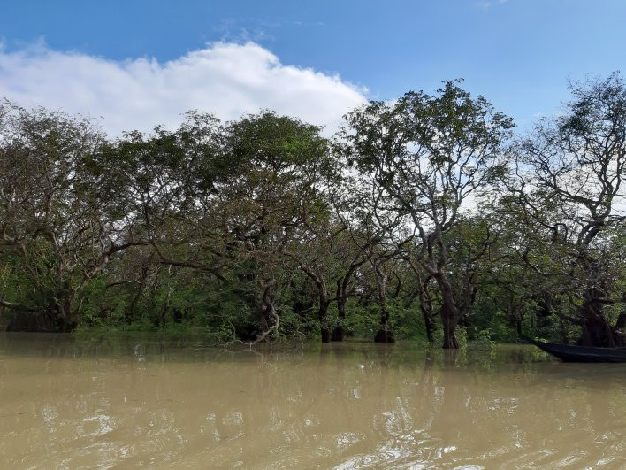 Ratargul Swamp Forest景点图片