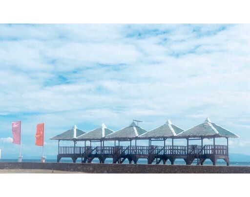 Whispering Palms Island Resort主图