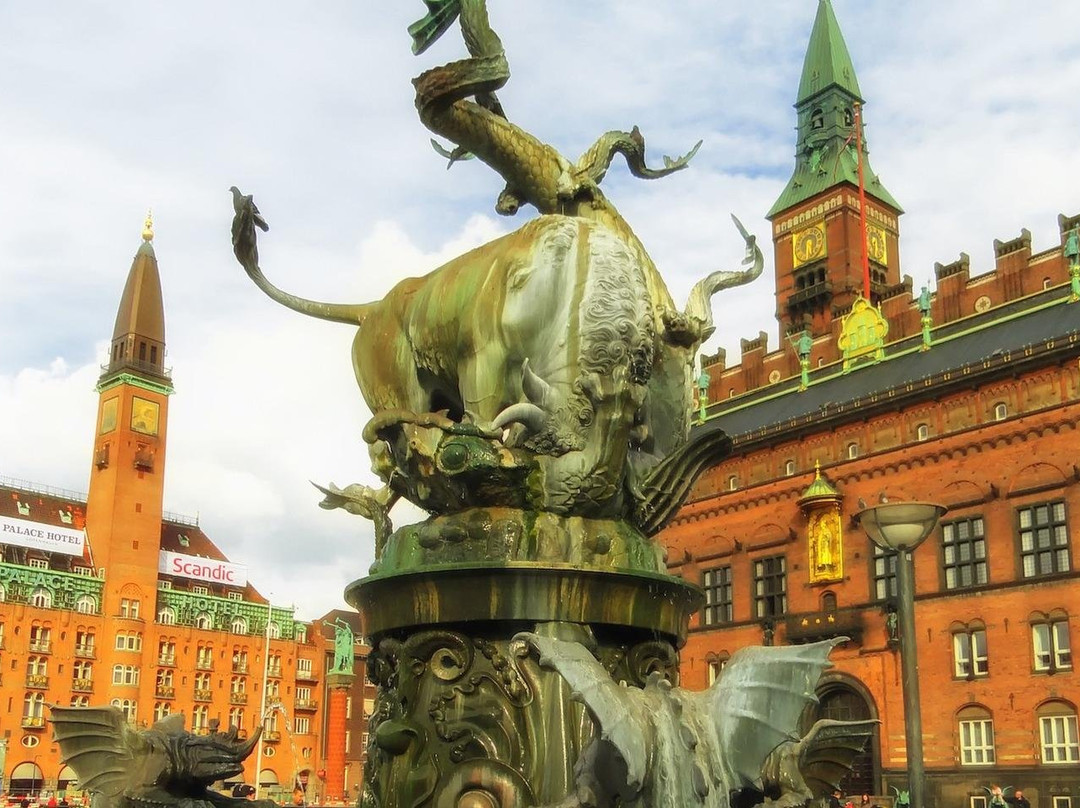 Best Copenhagen tours by Amitylux景点图片