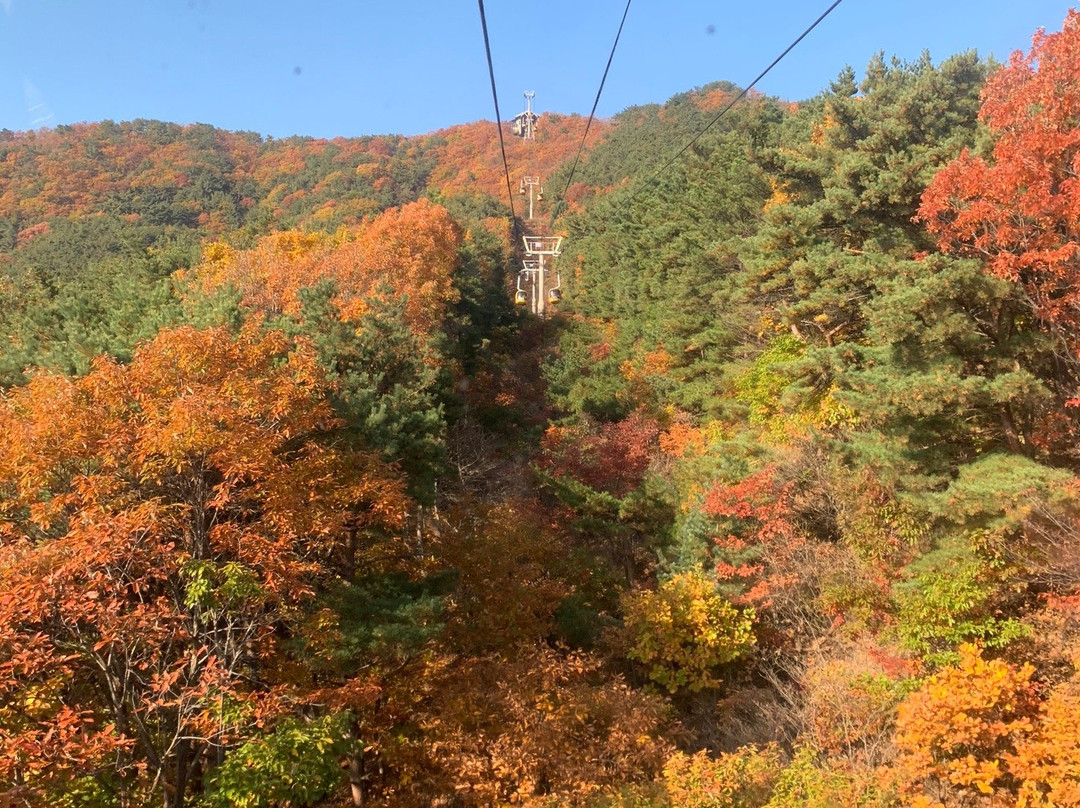 Palgongsan Cable Car景点图片