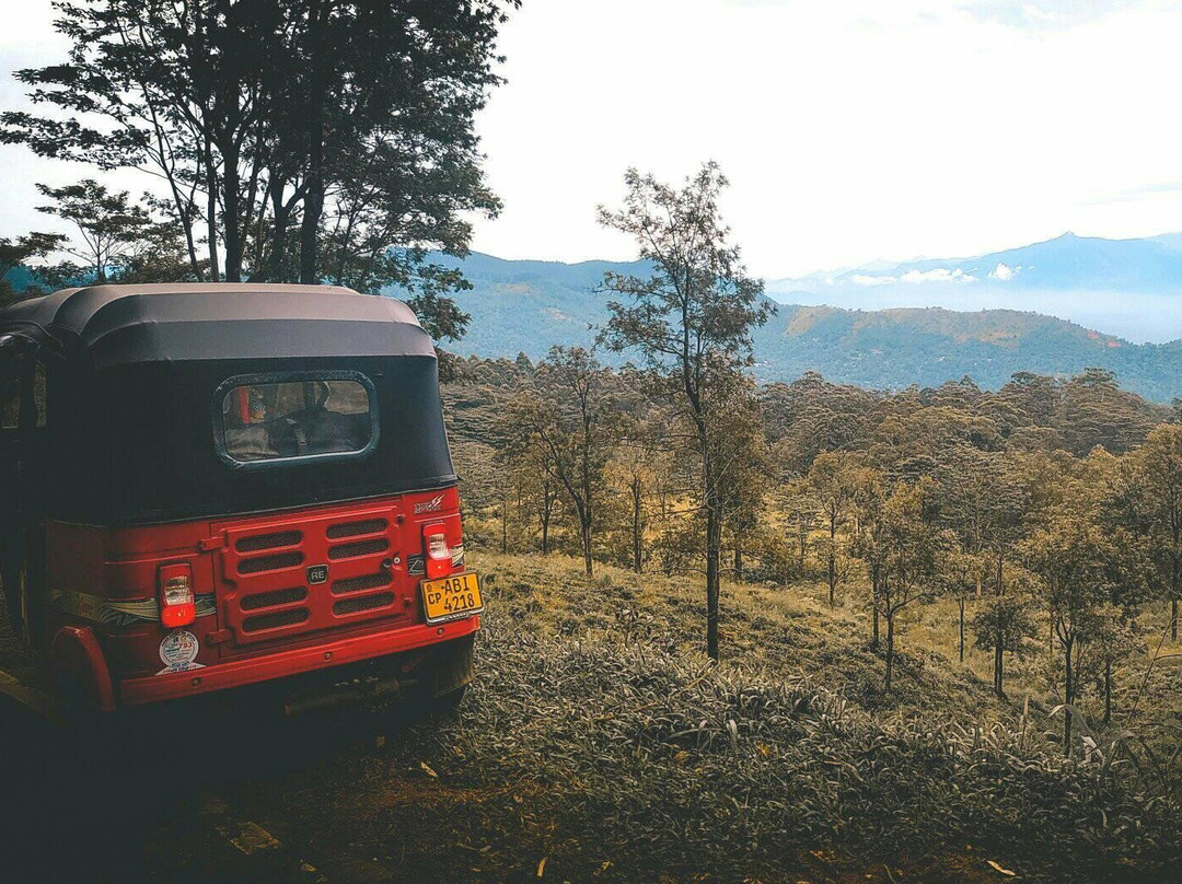 Rent and Ride A Tuktuk