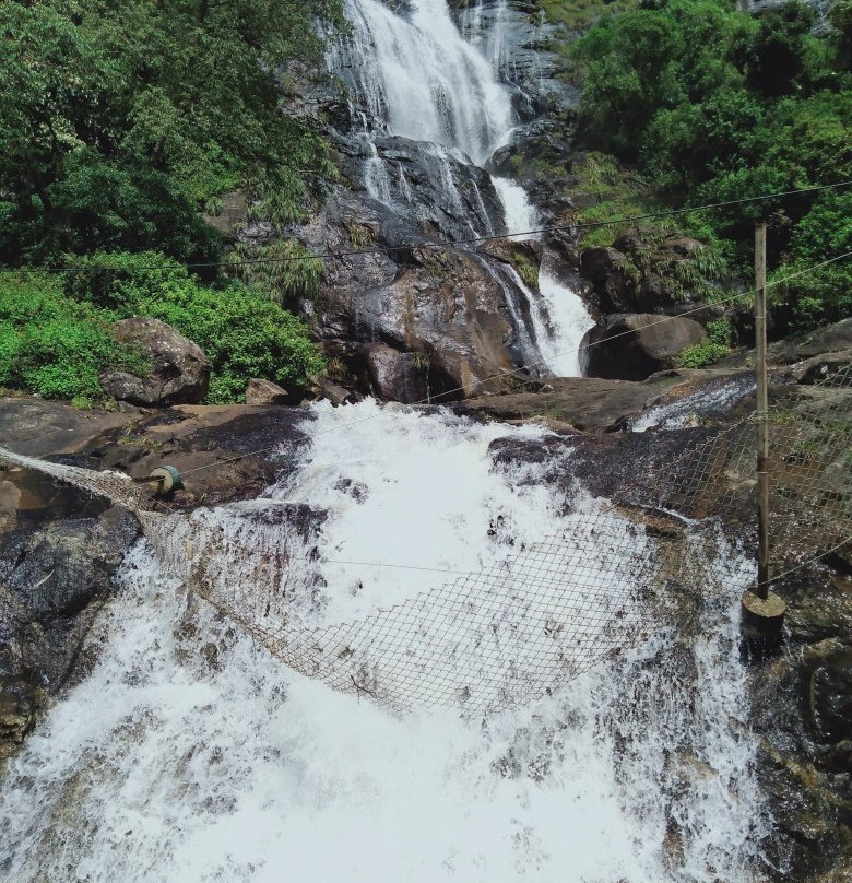 Chinnakanal Waterfalls景点图片