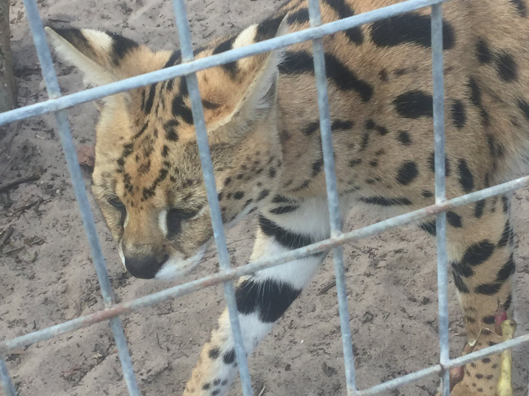 Single Vision Inc.-Melrose必去景点