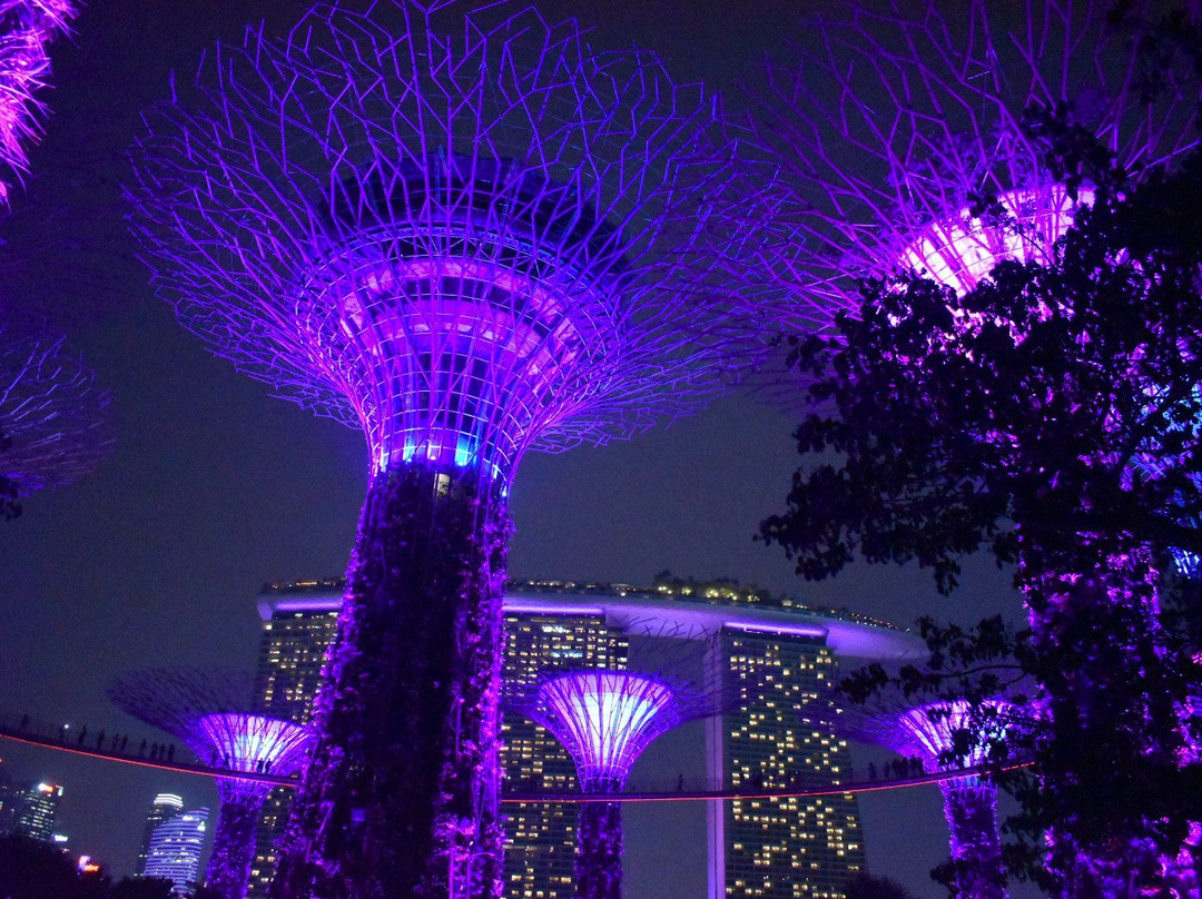 新加坡自由行景点图片