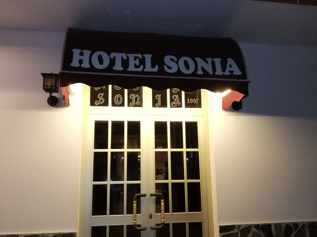 Bar Hotel Sonia主图