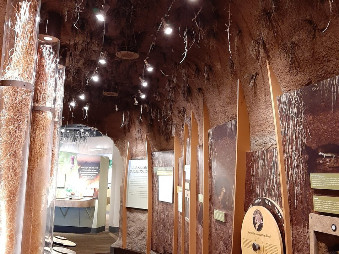 Flint Hills Discovery Center景点图片