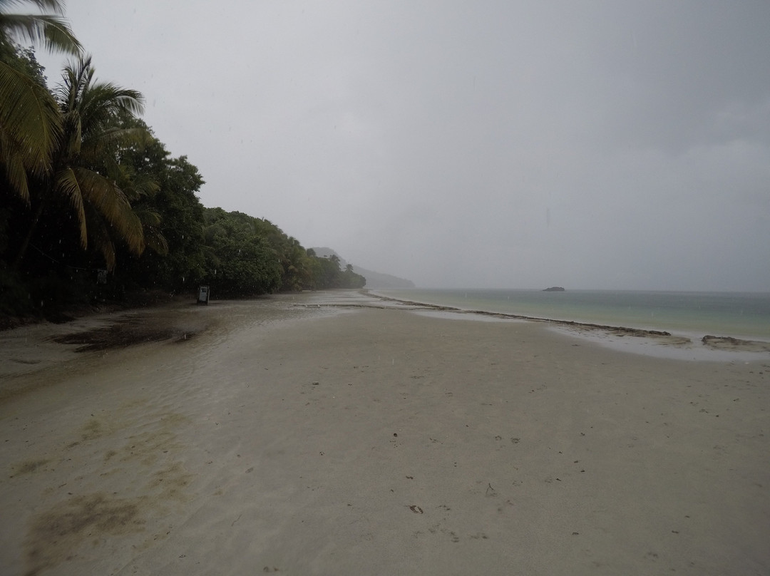 Posada Sunshine Paradise主图