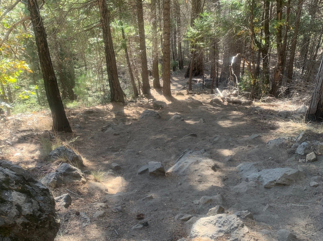 Carlon Falls Trail-格罗夫兰必去景点