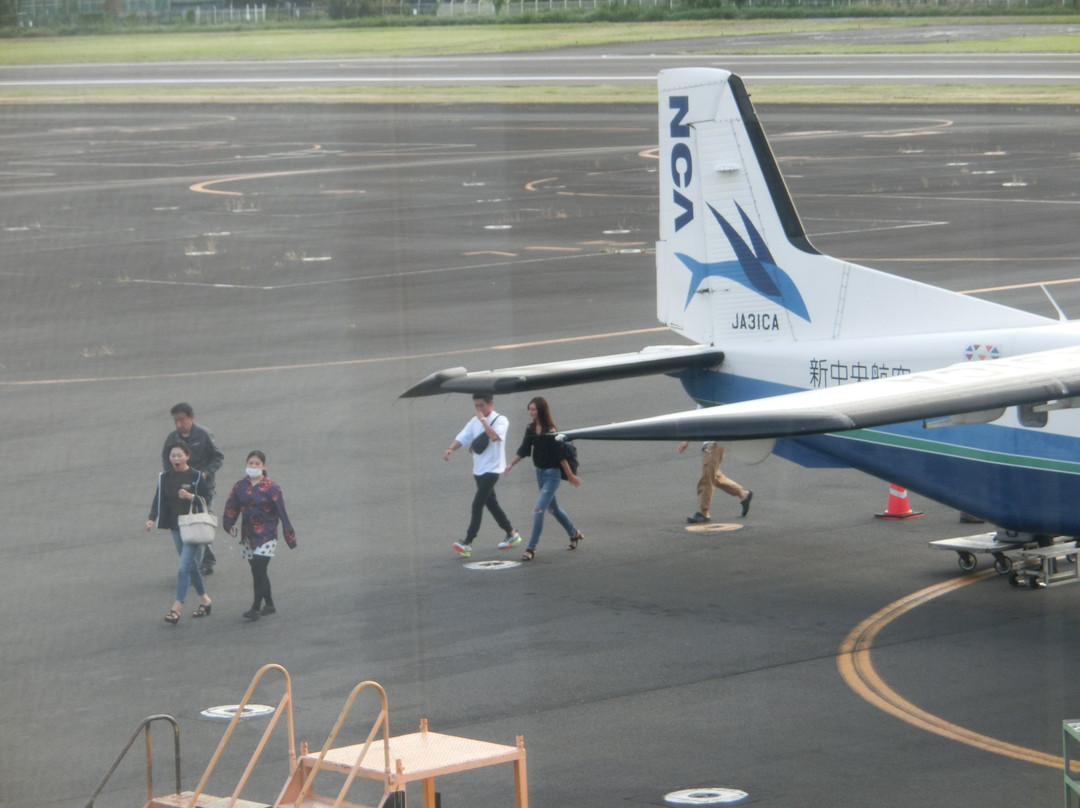 Chofu Airport Observation Deck-调布市必去景点