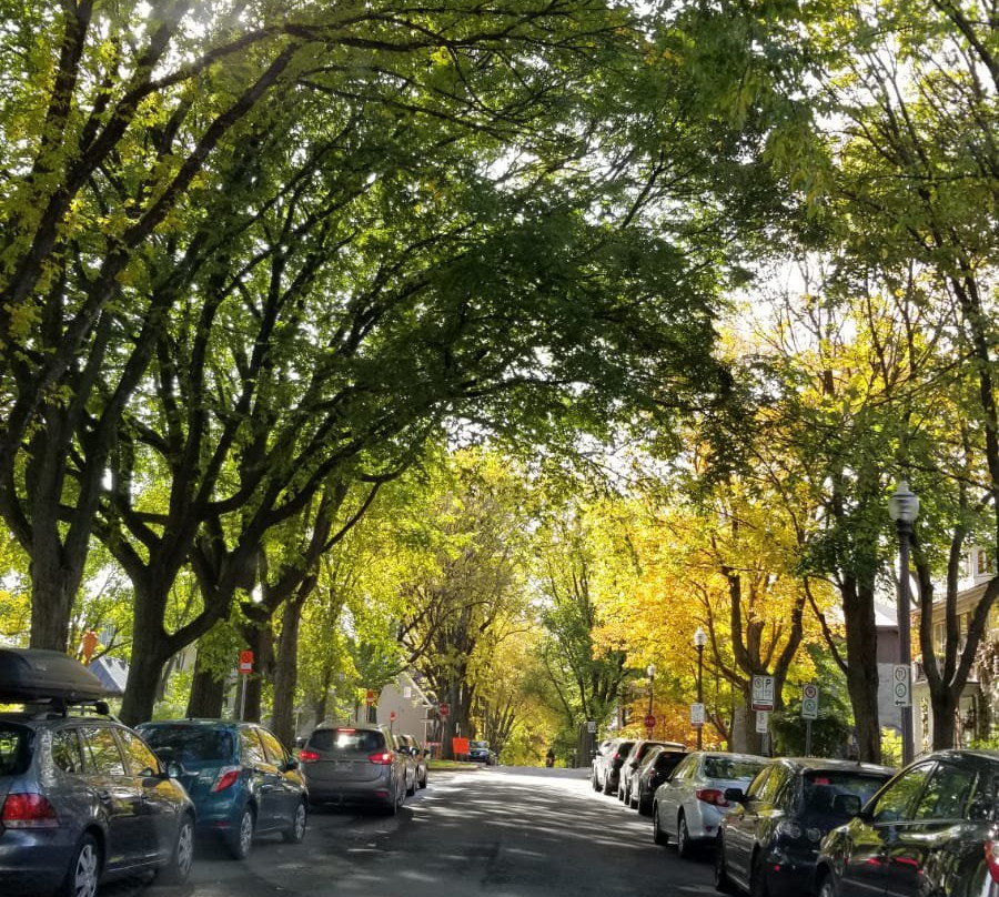 Battlefields Park (Parc des Champs-de-Bataille)-魁北克市必去景点