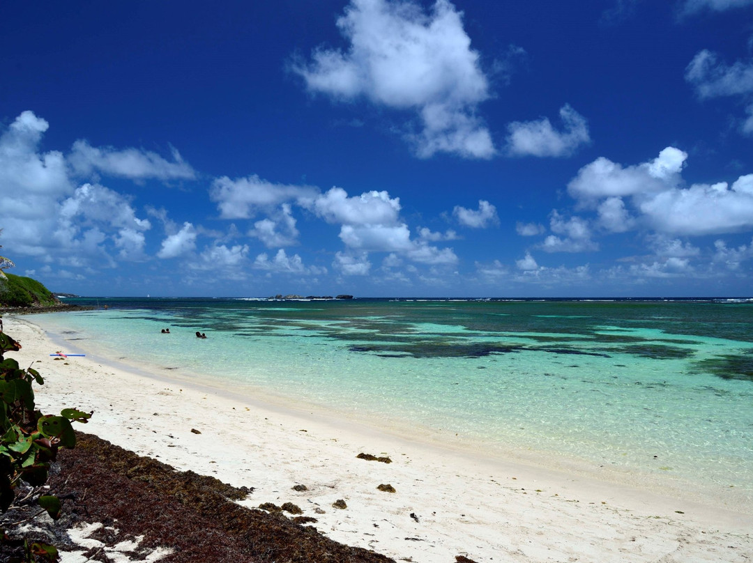 Anse Michel景点图片