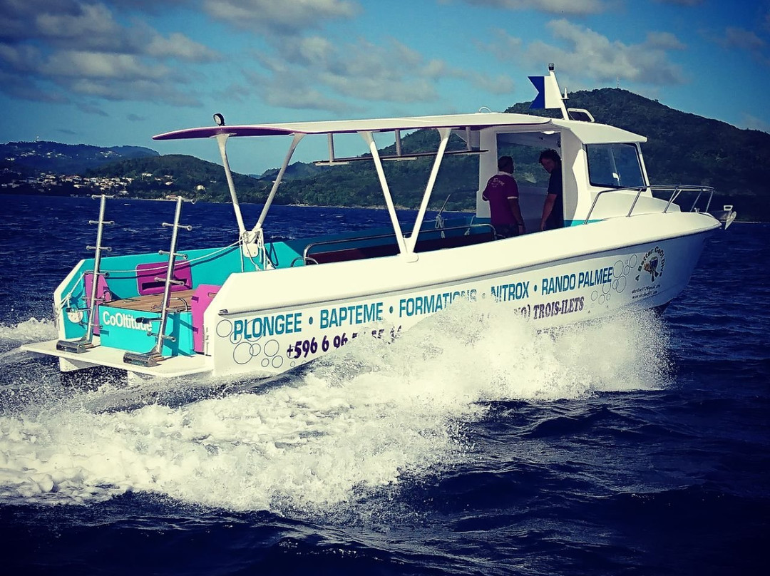 Abc Dive-Trois-Ilets必去景点