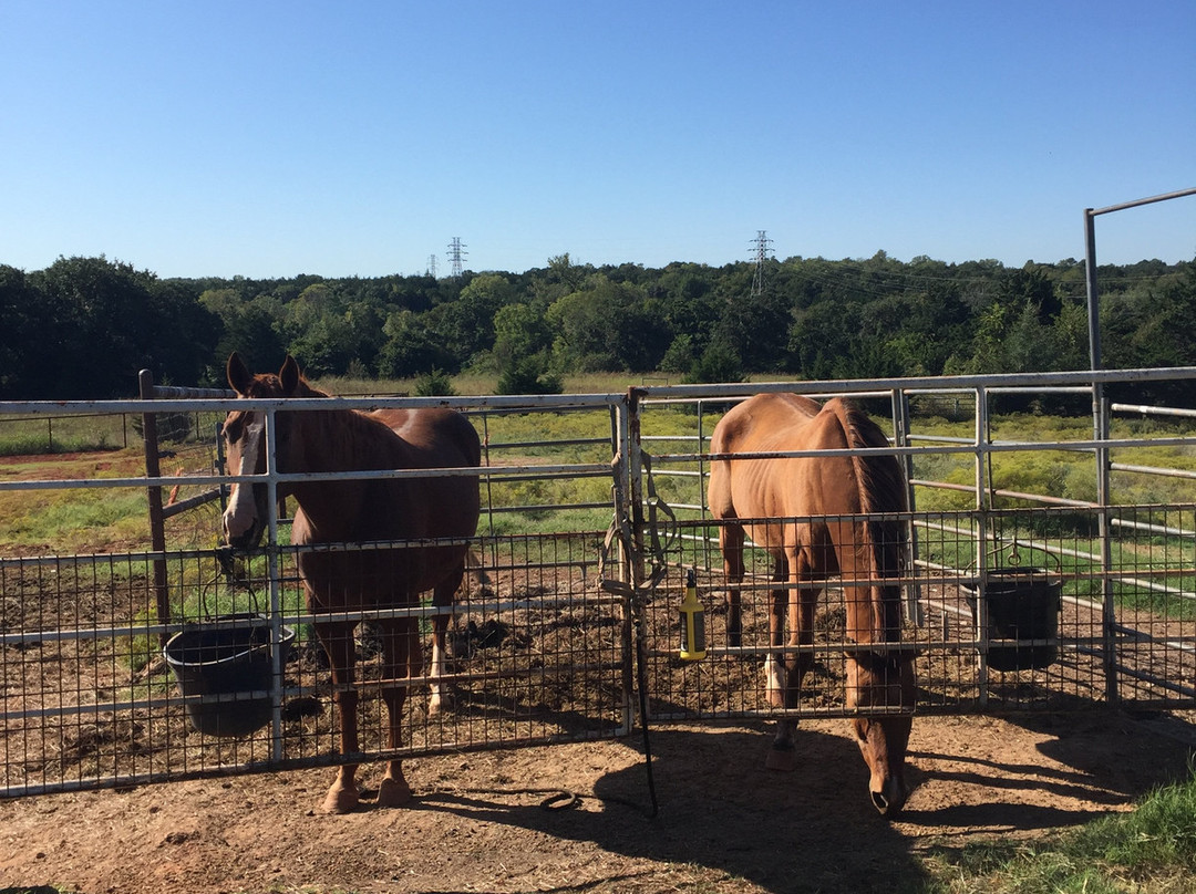 Rusty Gables Guest Lodge & Gallery主图