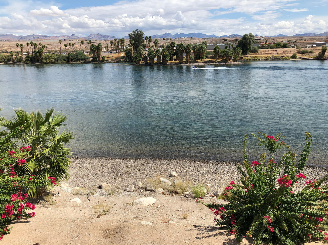 Golden Nugget Laughlin主图