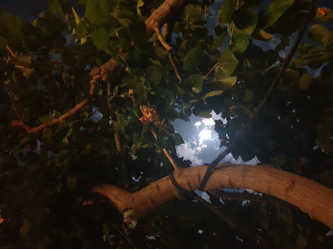 Zamarin Hotel & Spa主图