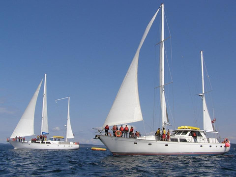 Bluewater Adventures-北温哥华必去景点