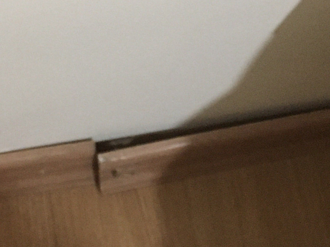 Itapetinga Hotel主图