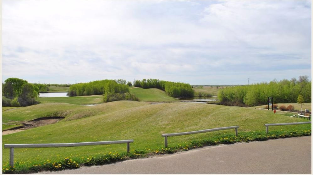 Pheasantback Golf Club景点图片