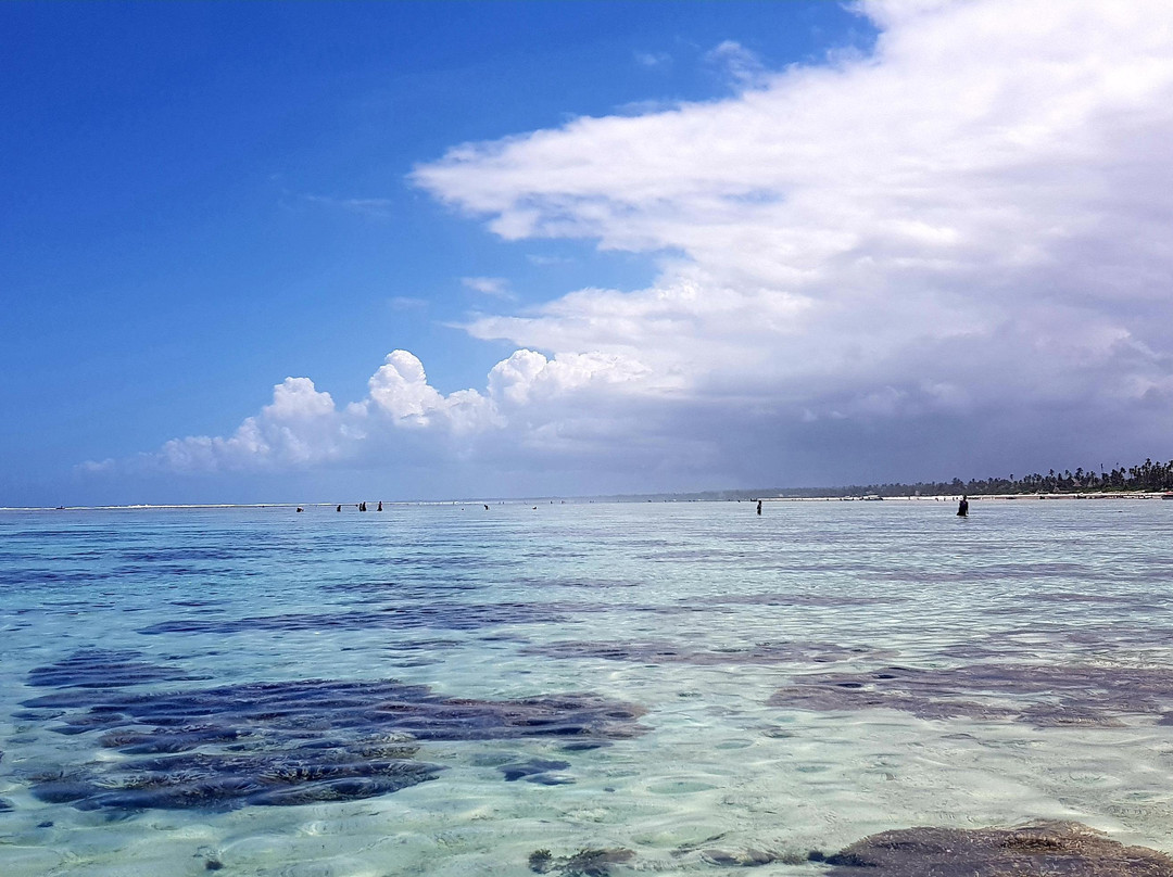 Zanzibar Bella Vista Tours-桑给巴尔岛必去景点