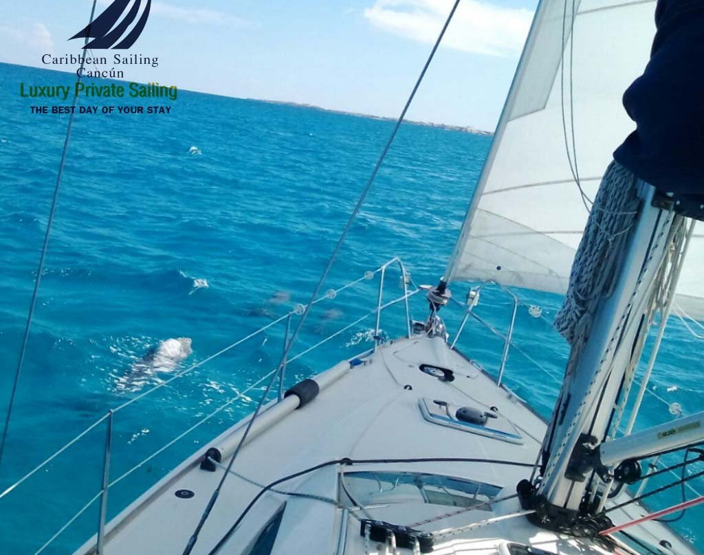 Caribbean Sailing Cancun-坎昆必去景点