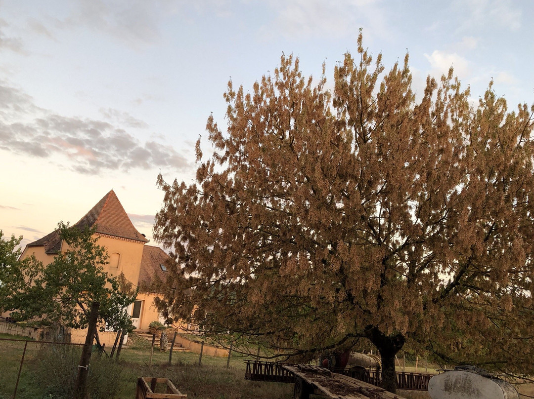 Manoir de Rieuzal