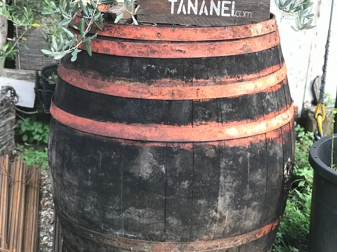 Agriturismo Tananei主图