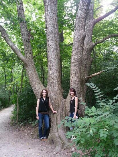 俄亥俄旅游景点-Indian Run Falls