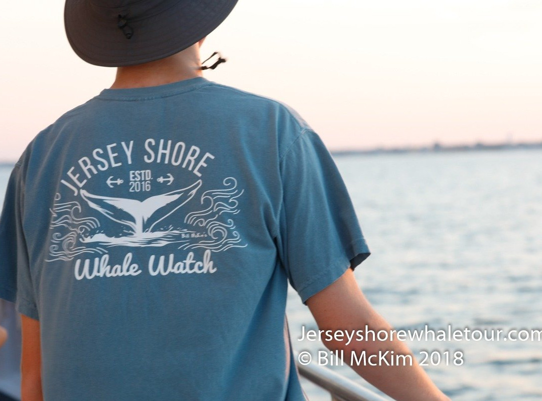 Jersey Shore Whale Watch景点图片